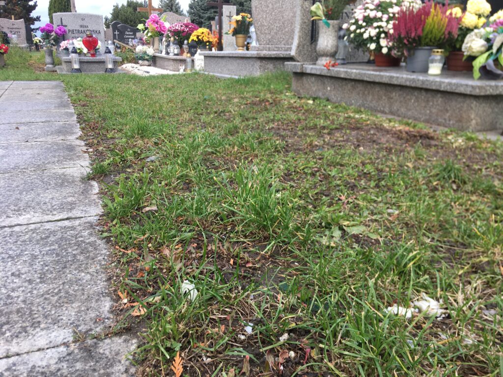 przygotowane podłoże